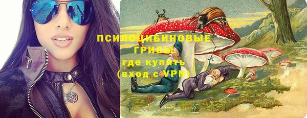 гашик Балахна