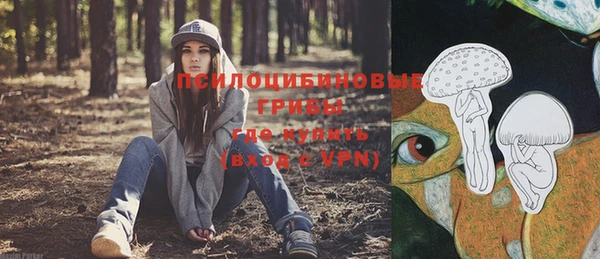 тгк Баксан