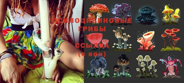 ALPHA-PVP Армянск