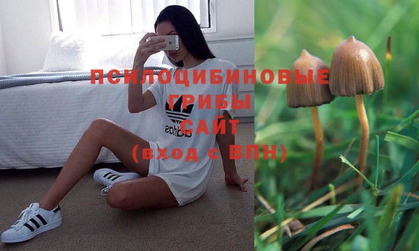гашик Балахна
