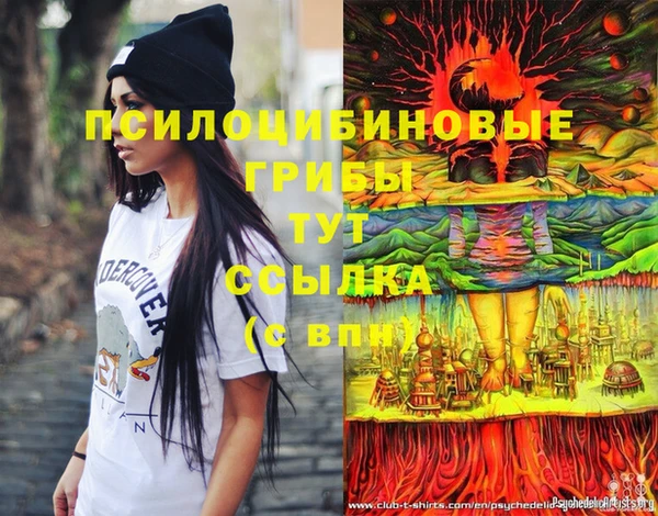 гашик Балахна